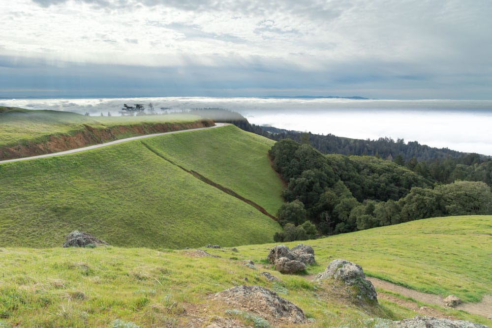 Quick Getaway from San Francisco: Mount Tamalpais State Park