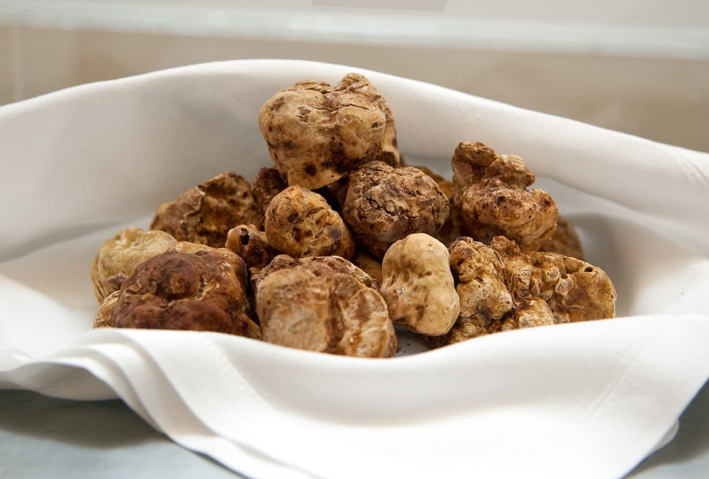 What to do in Tuscany: Truffles