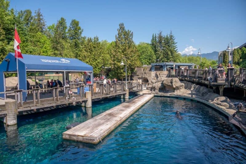 What to do in Vancouver, Canada: Vancouver Aquarium