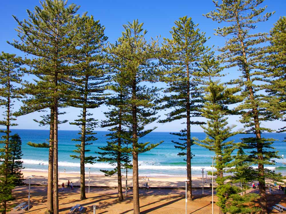 Where to Stay in Manly Beach, Sydney, Australia: Best Hotels