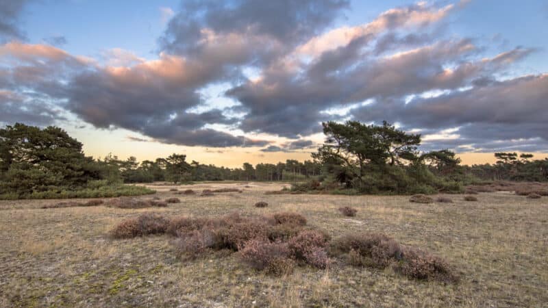 Where to Vacation in Europe in September: De Hoge Veluwe National Park in Netherlands