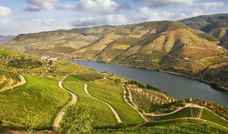Where to Vacation in Europe in September: Douro Valley in Porto