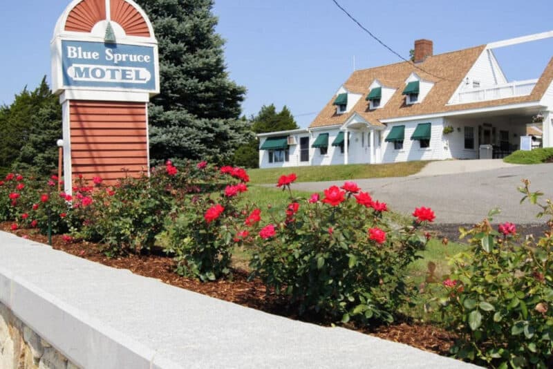 Best Plymouth Hotels: Blue Spruce Inn & Townhouses