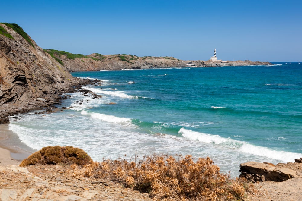 Best Things to do in Menorca, Spain: Whales and Dolphins