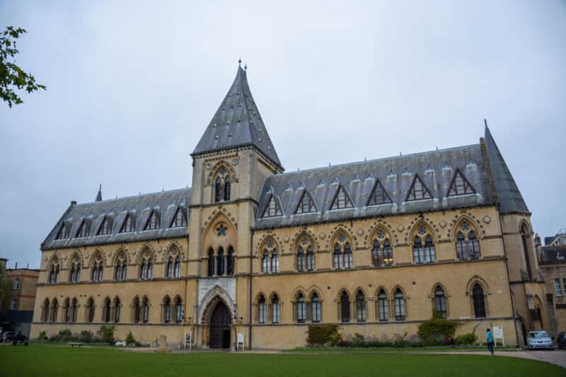 Cool Things to do in Oxford: Oxford University Museum of Natural History