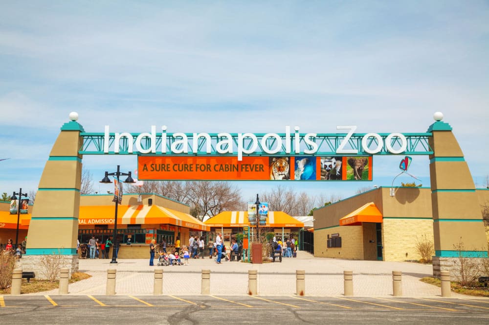 Must do things in Indianapolis, Indiana: Indianapolis Zoo