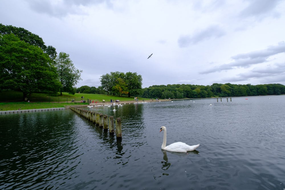 Must do things in Leeds: Roundhay Park