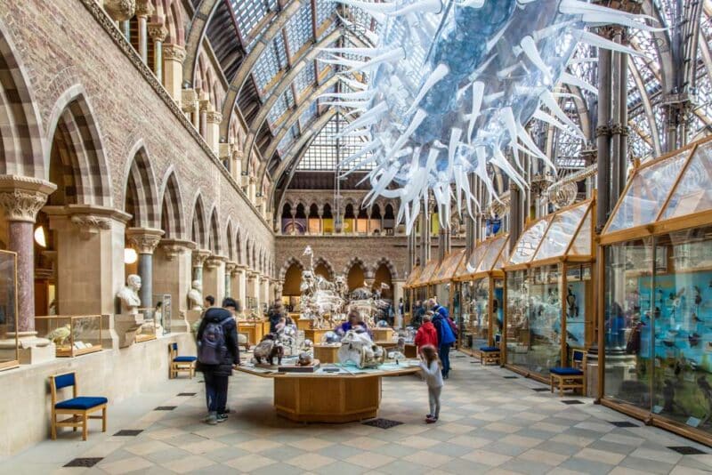 Oxford Things to do: Oxford University Museum of Natural History