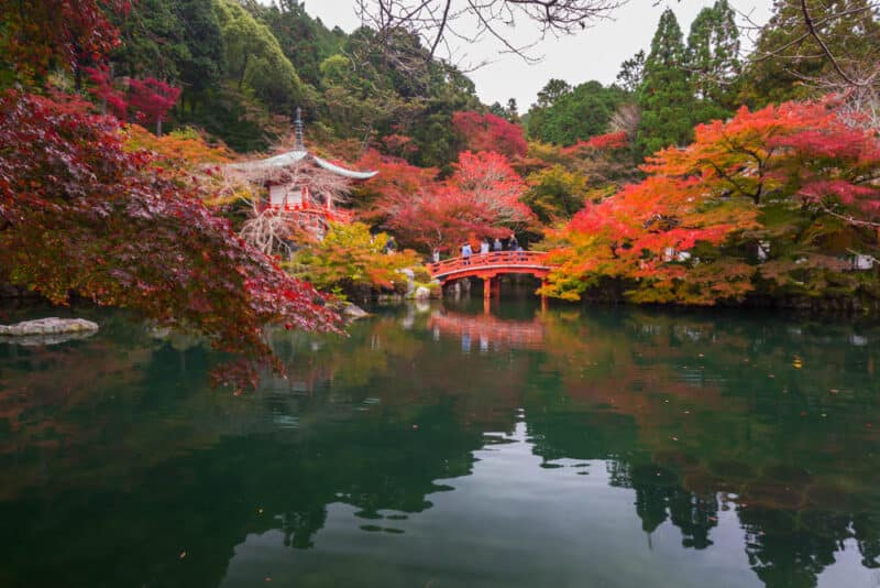 What Places Have Shoulder Season in November: Kyoto, Japan