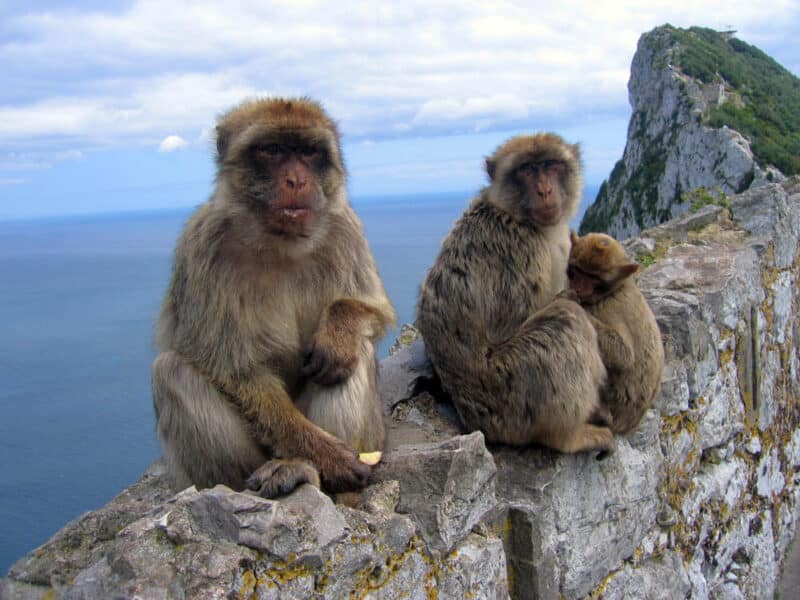What Places to Visit in Europe in November: Rock of Gibraltar