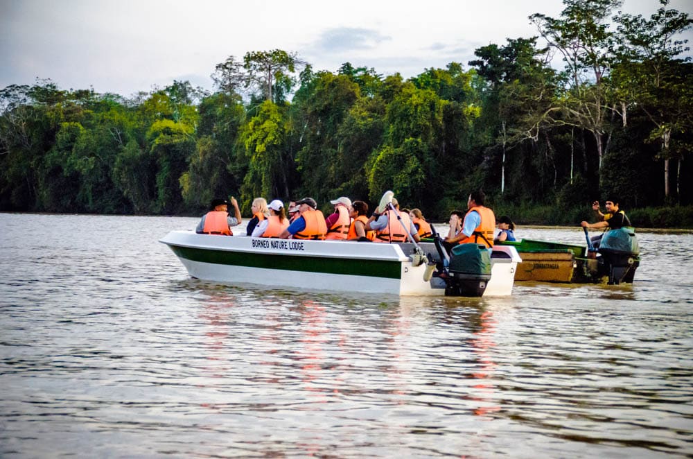 2 Week Itinerary in Malaysia: Kinabatangan River