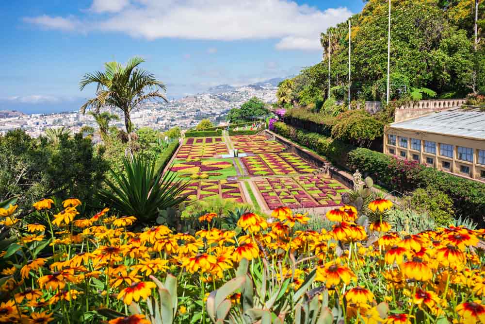 Best Europe Destinations to Visit in the Fall: Madeira, Portugal