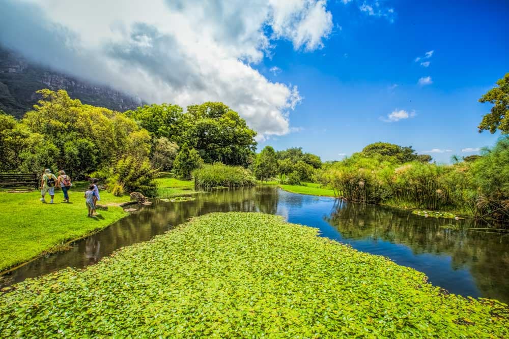 Best Places to Travel for the Holidays: Kirstenbosch
