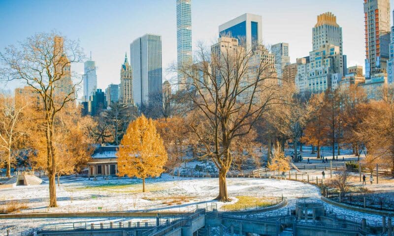 The Best Things to do in New York City in the Winter