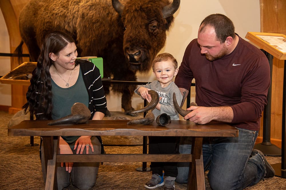 Best Things to do in North Dakota: National Buffalo Museum