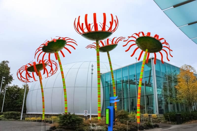 Best Things to do in Seattle in the Rain: Pacific Science Center
