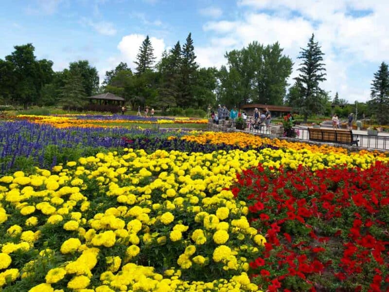 Cool Things to do in North Dakota: International Peace Garden