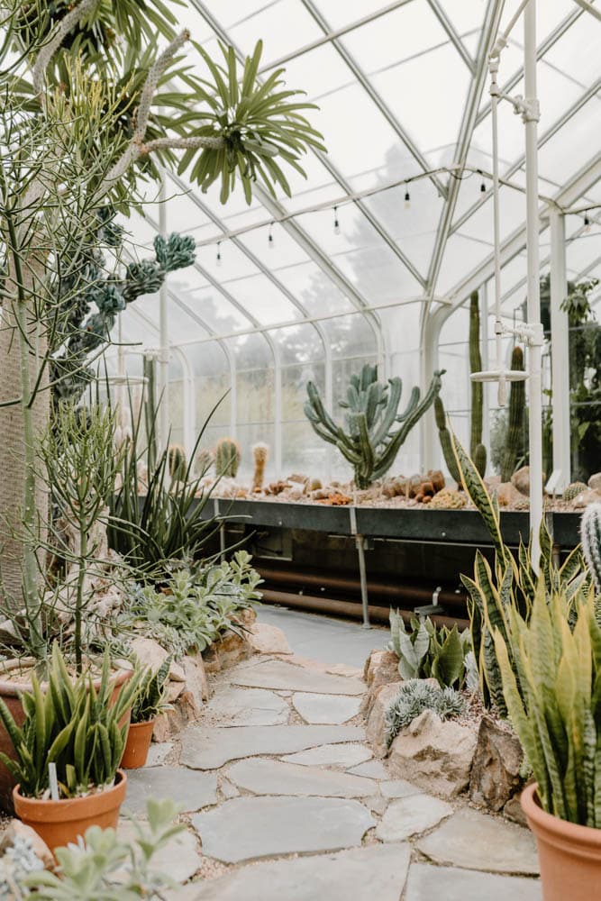 Cool Things to do in Seattle in the Rain: Volunteer Park Conservatory