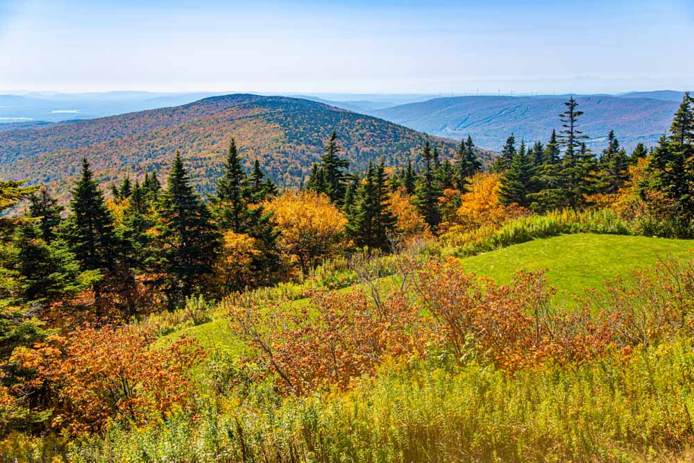 Fun Things to do in Berkshires, Massachusetts: Mount Greylock State Reservation