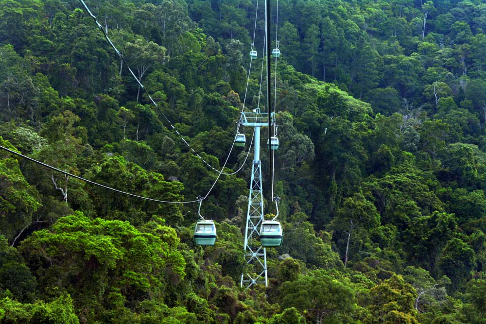 Fun Things to do in Cairns, Australia: Skyrail Rainforest Cableway