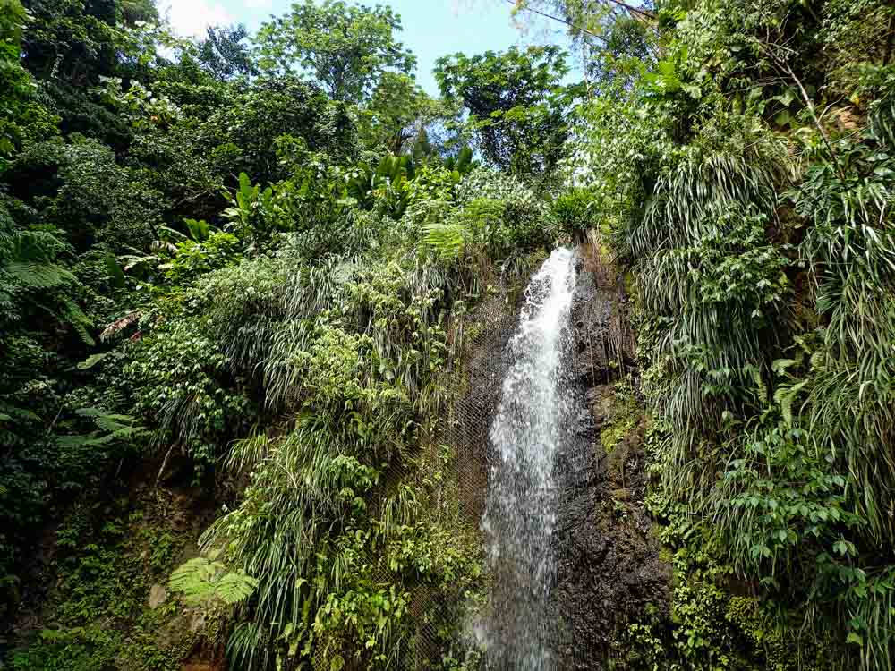 Fun Things to do in St. Lucia: Toraille Waterfall