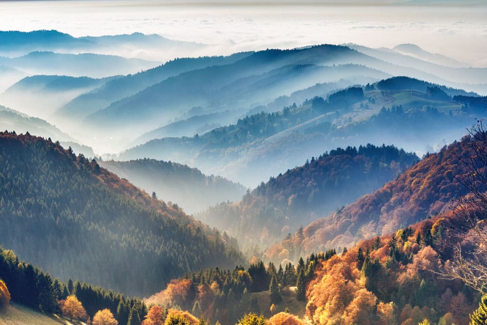 Must See Places in Europe during Fall: The Black Forest, Germany