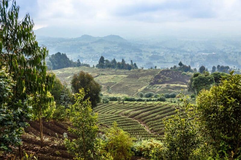 Must Visit Places in December: Rwandan