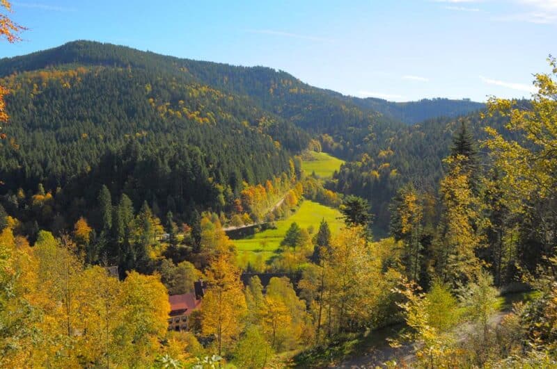 Must Visit Places in Europe during Fall: The Black Forest, Germany