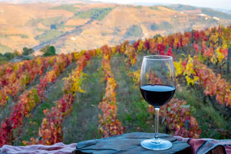 Places in Europe to Visit in the Fall: Douro Valley, Portugal