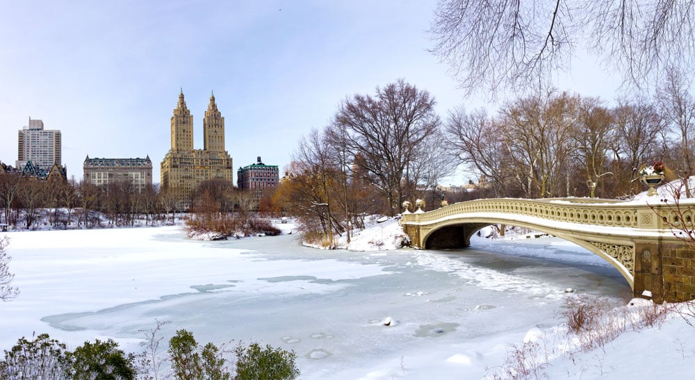Places to Visit in New York City During Winter: Central Park