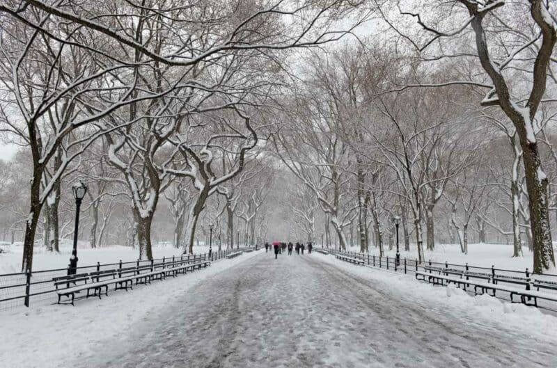 Things to do in New York City During Winter: Central Park