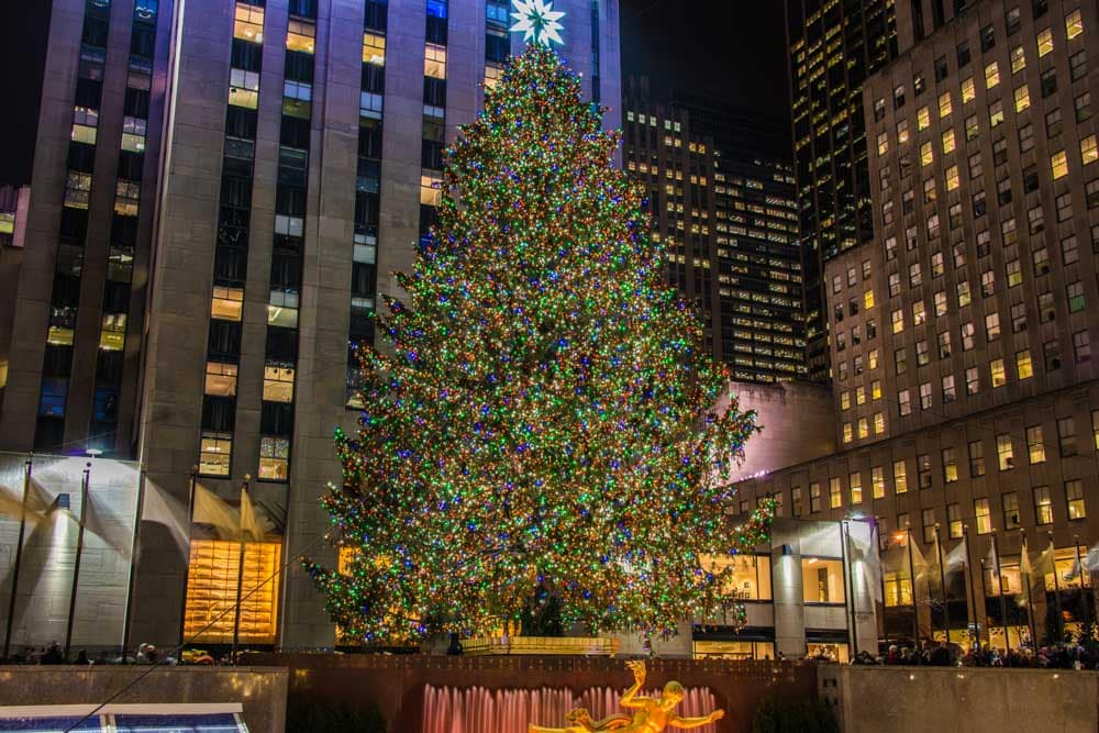 Things to do in New York City During Winter: Rockefeller Center Christmas Tree