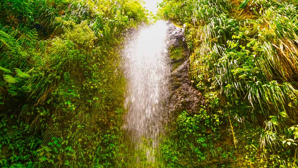 Unique Things to do in St. Lucia: Diamond Falls Botanical Gardens & Mineral Baths