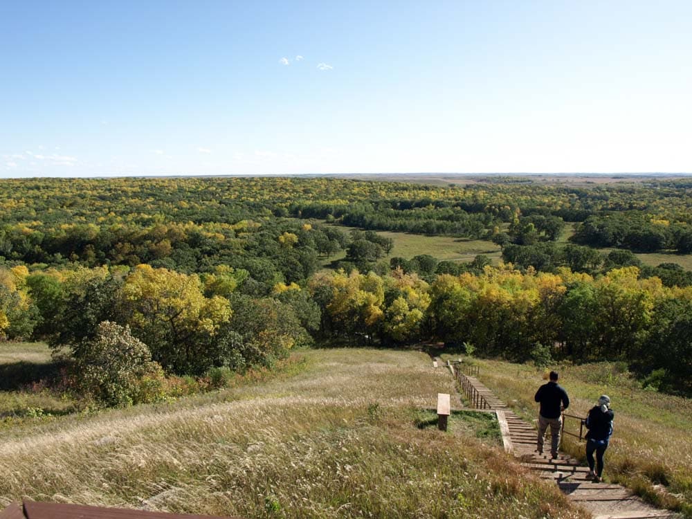 What to do in North Dakota: White Horse Hill National Game Preserve