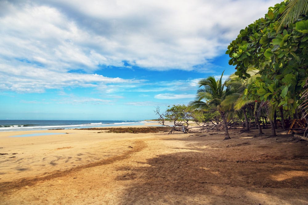 Best Cities to Visit in January: Tamarindo Beach, Costa Rica