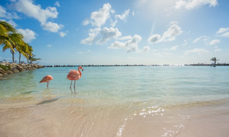 The Best Things to do in Aruba