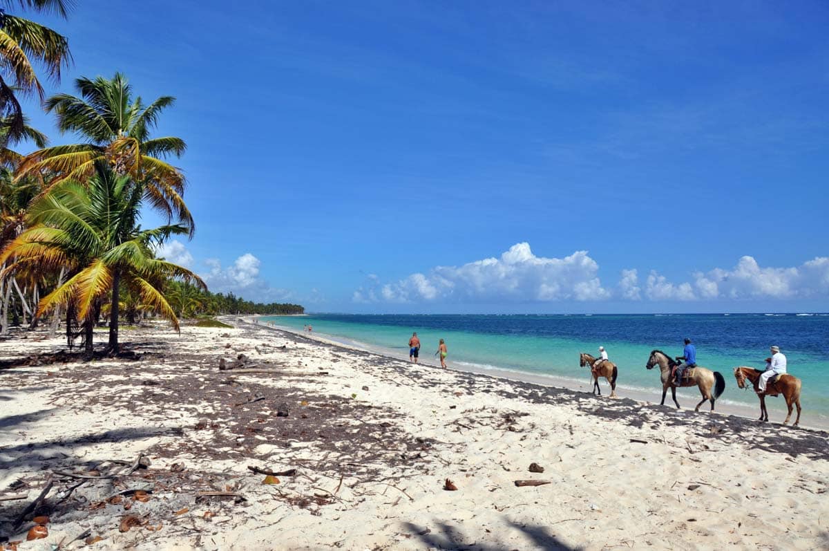 Best Things to do in Barbados: Horseback Riding in the Ocean