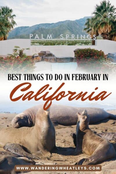 Best Things to do in California in February
