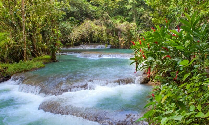The Best Things to do in Jamaica
