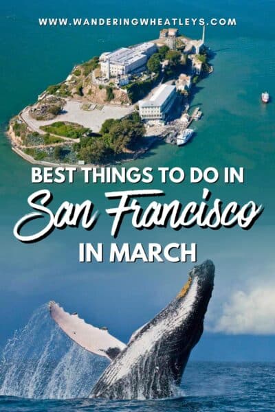 Best Things to do in San Francisco in March