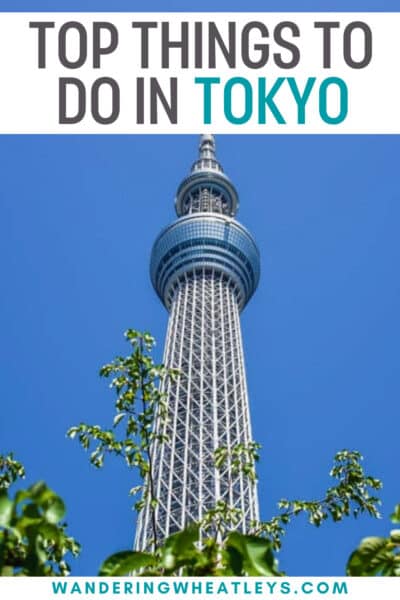 Best Things to do in Tokyo, Japan