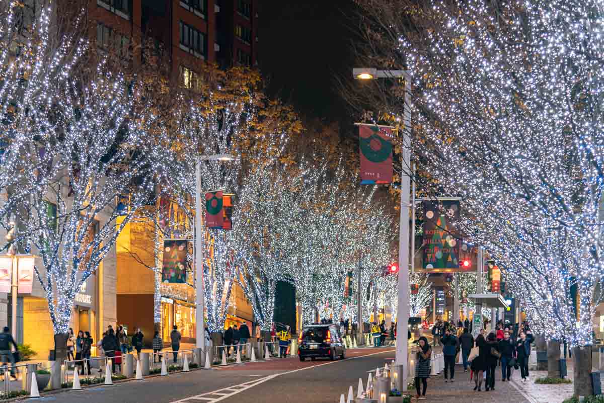 Best Things to do in Tokyo, Japan: Winter Light Tour