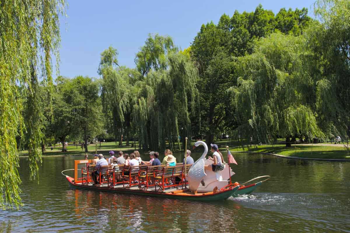 Boston with Kids Bucket List: Swan Boat