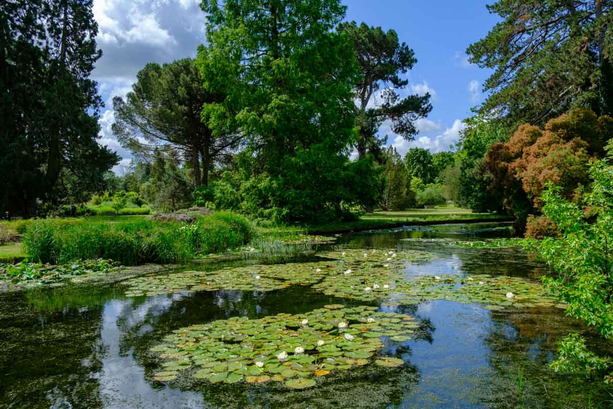 Cambridge, England Things to do: Cambridge University Botanic Garden