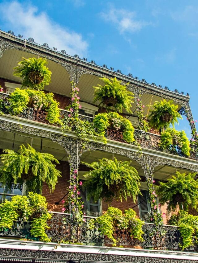 The 15 Best Things to do in New Orleans in March Story