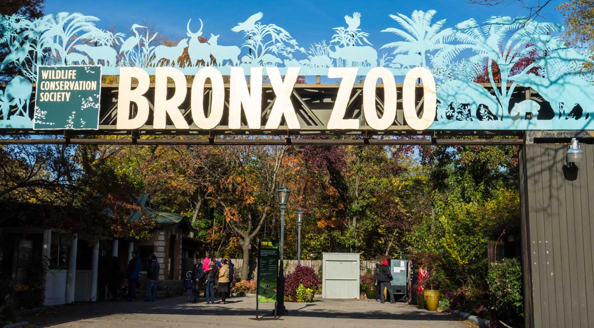 Fun Things to do in New York in February: Bronx Zoo