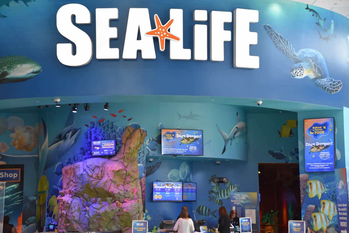 Fun Things to do in Orlando in the Rain: SEA LIFE Orlando Aquarium