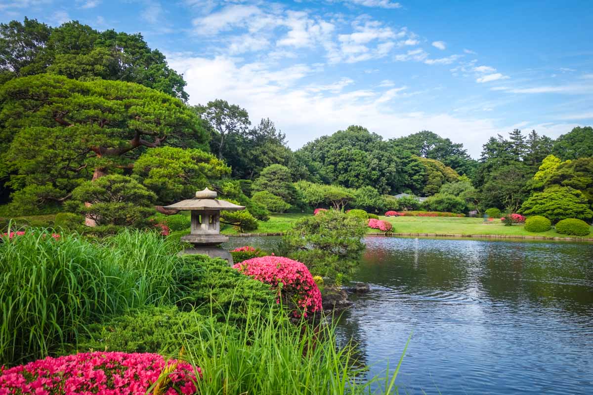 Fun Things to do in Tokyo, Japan: Shinjuku Gyoen National Garden