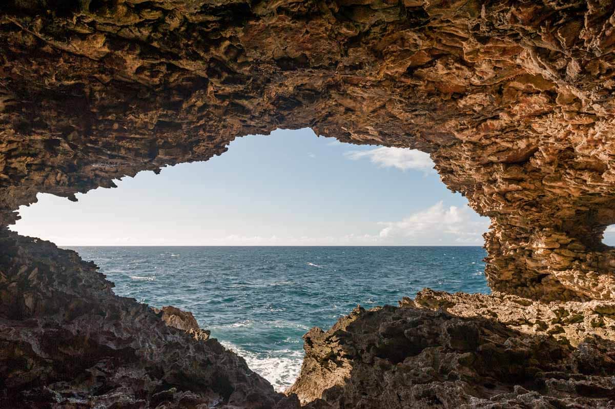 Unique Things to do in Barbados: Animal Flower Cave