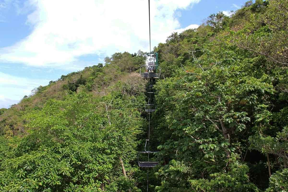 Unique Things to do in Jamaica: Mystic Mountain